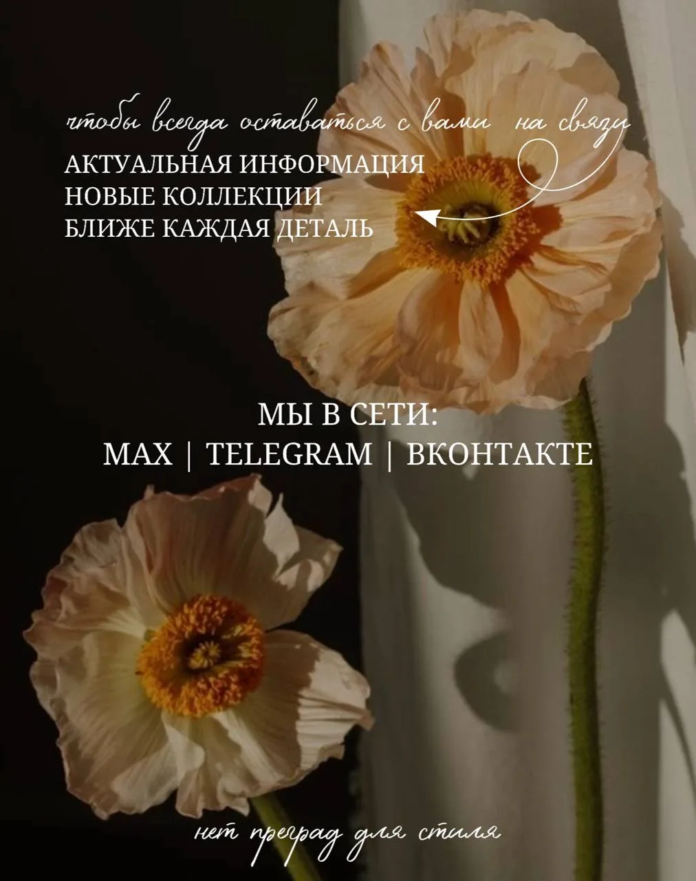 Мы всегда на связи с вами🤎