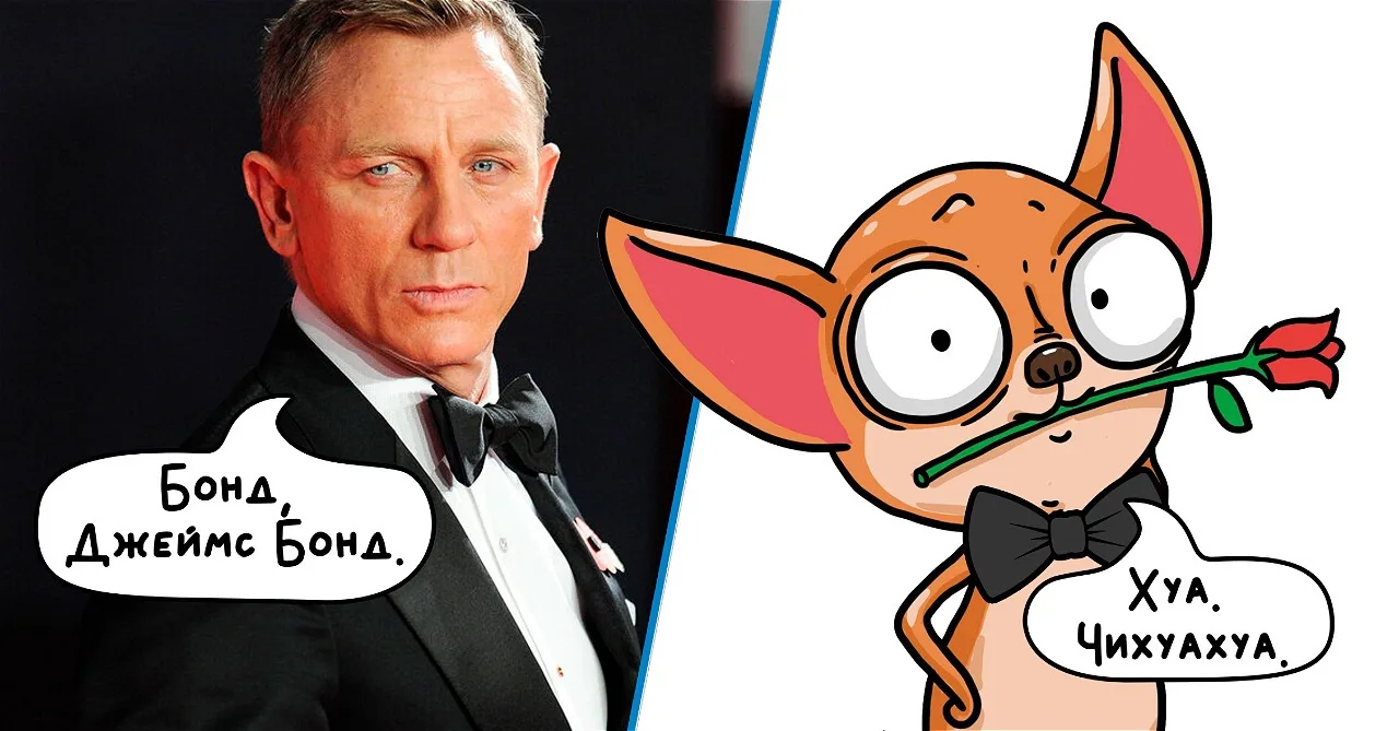 Суперагент Чихуахуа 007 к выходным готова!