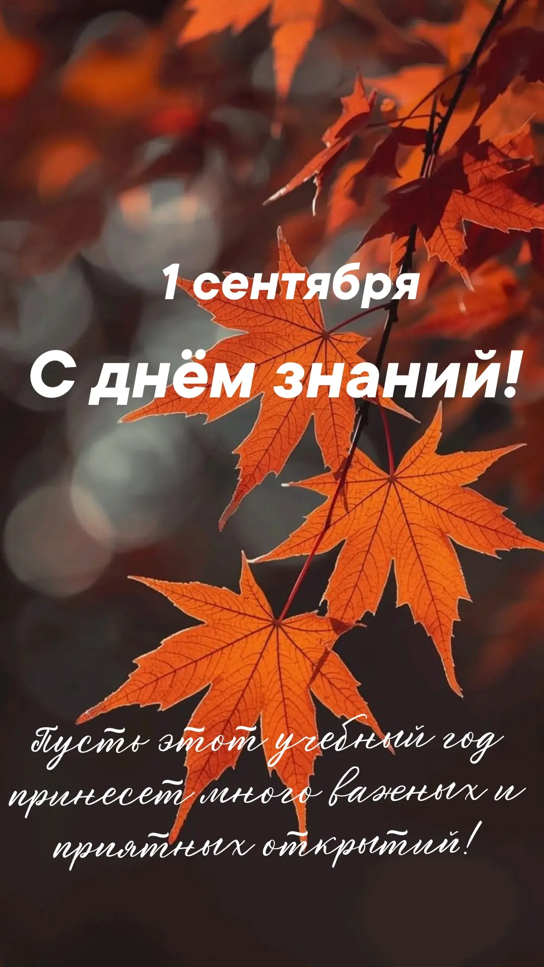 🎉 С Днём знаний, дорогие друзья! 🎉