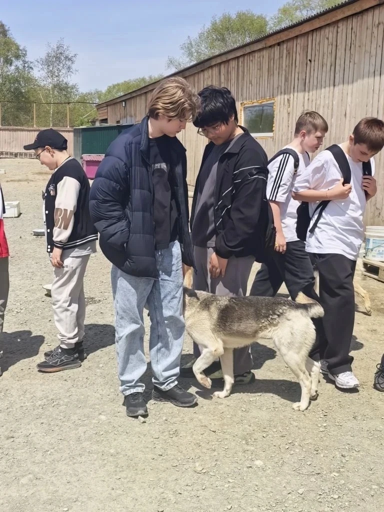 🐾 6-А класса посетили приют для бездомных животных «Пёс и кот» 🐶🐱  🏠🐕 В преддверии каникул ученики 6