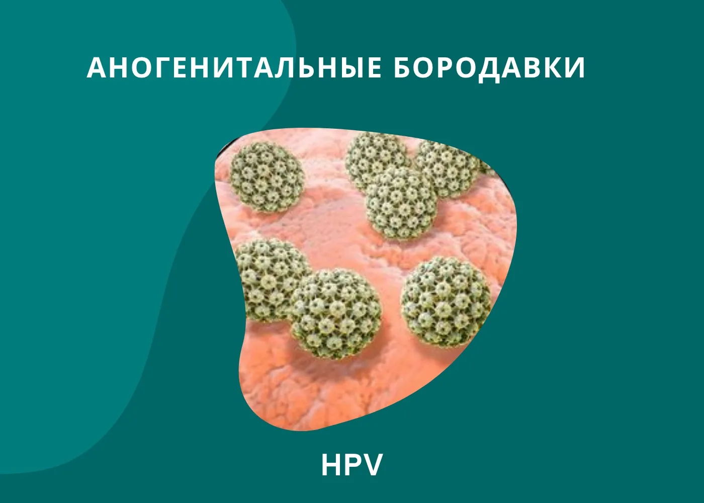 АНОГЕНИТАЛЬНЫЕ БОРОДАВКИ⭕️
Аногенитальные бородавки или остроконечные кондиломы - одно из самых расп