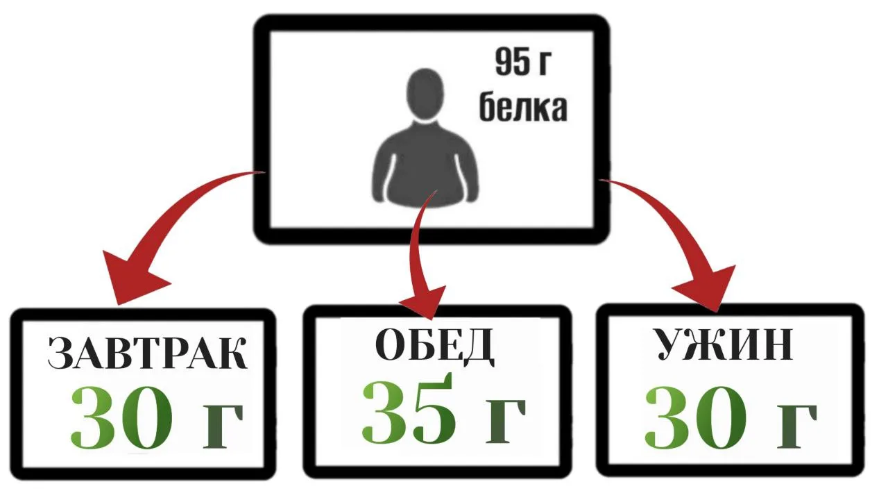 У БЕЛКА ЕСТЬ СВОИ ПРАВИЛА  ПРАВИЛО 1: Свою норму белка  съедать каждый день обязательно.  Какая ваша
