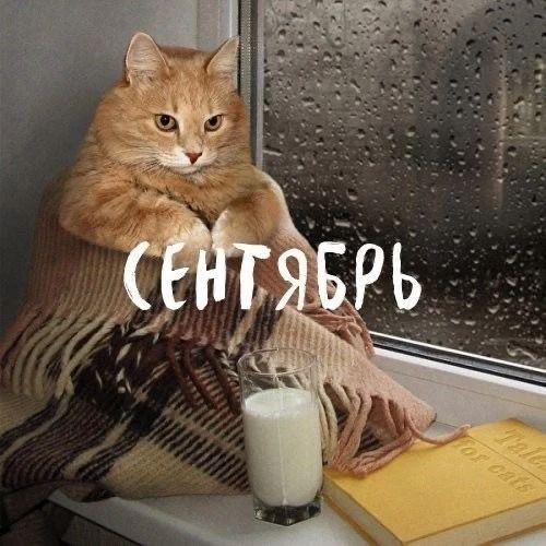 С первым днём осени! 🍁