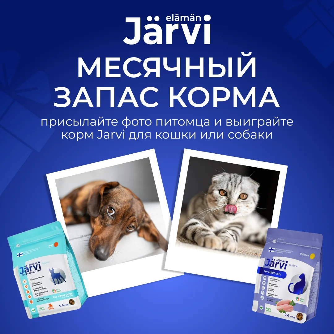 Дарим 5 месячных запасов корма Järvi за фотографию питомца

Уверены, что в галерее каждого владельца