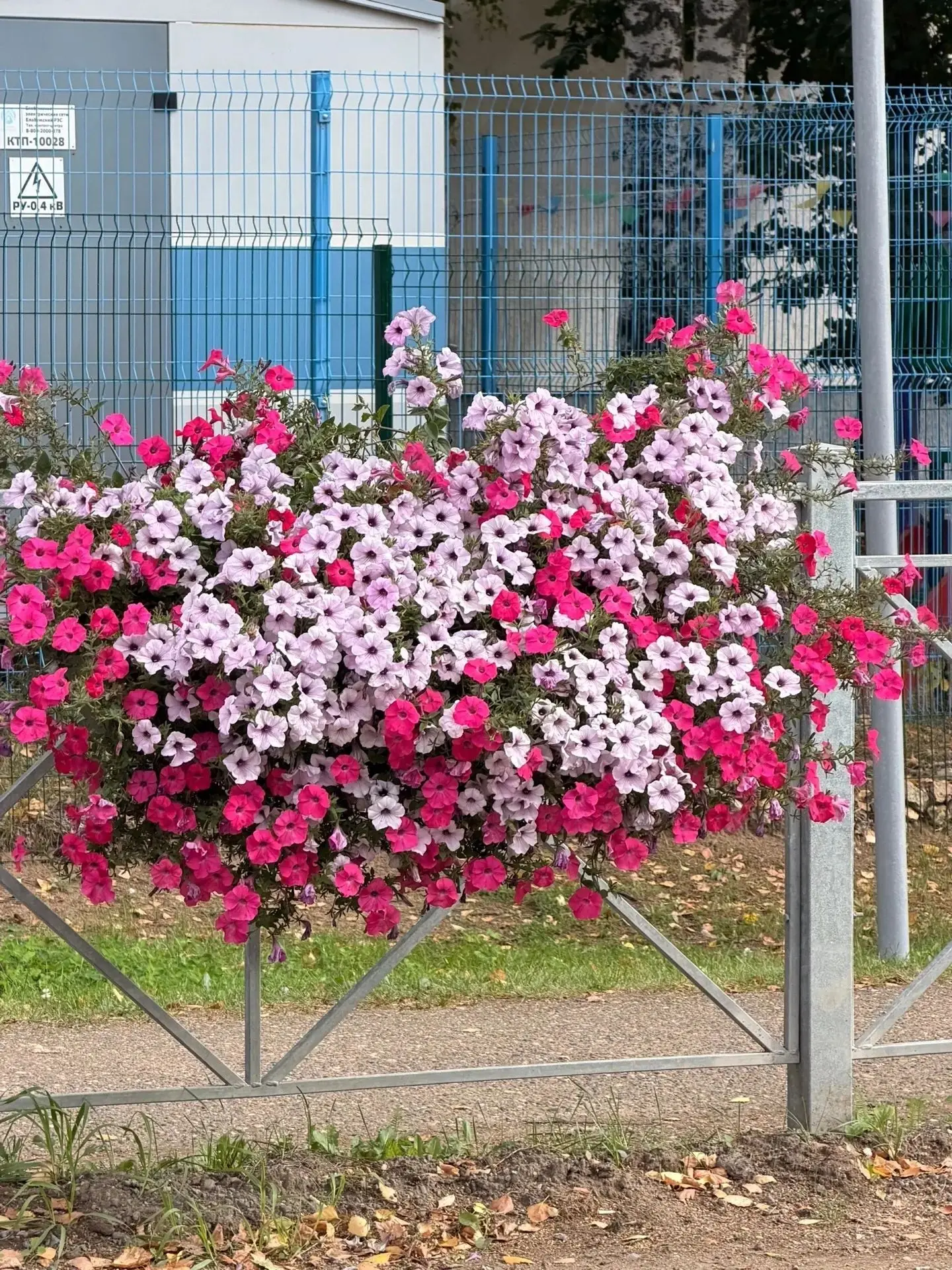 Всем доброго дня! 🌸🌸🌸