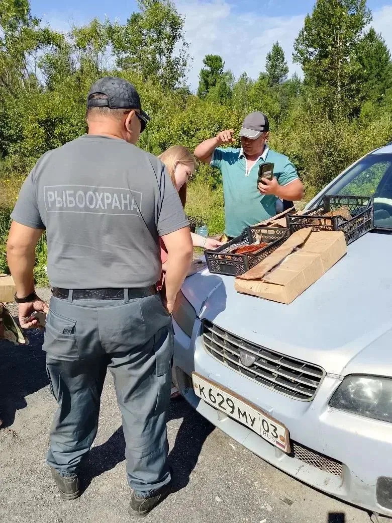 Сотрудниками Управления 13 августа проведен межведомственный рейд по пресечению фактов ...