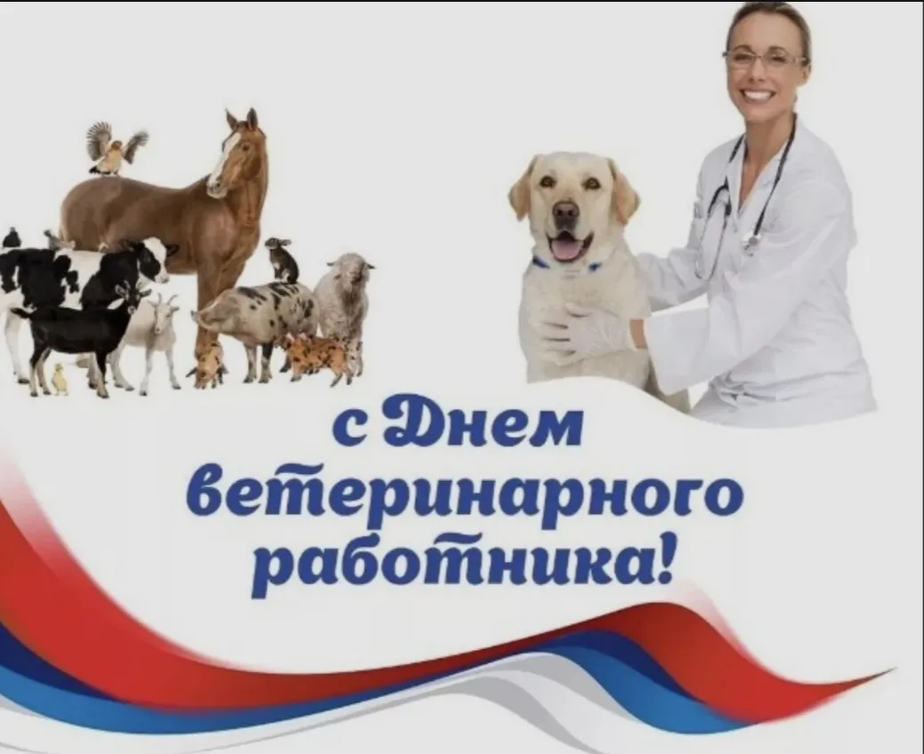 Уважаемые коллеги, дорогие ветераны отрасли!