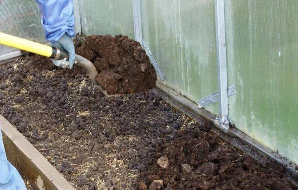 🥒 Как восстановить плодородие почвы после огурцов