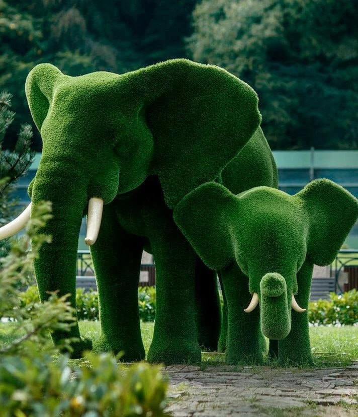 Отправляемся в столичный парк любоваться зелеными зверями 🐘