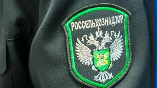 В Курской области арендатора пашни предупредили за сорняки на участке