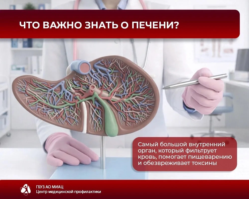 🫁🩺 Печень – наш главный фильтр, который работает без выходных. Она обезвреживает токсины, помогает