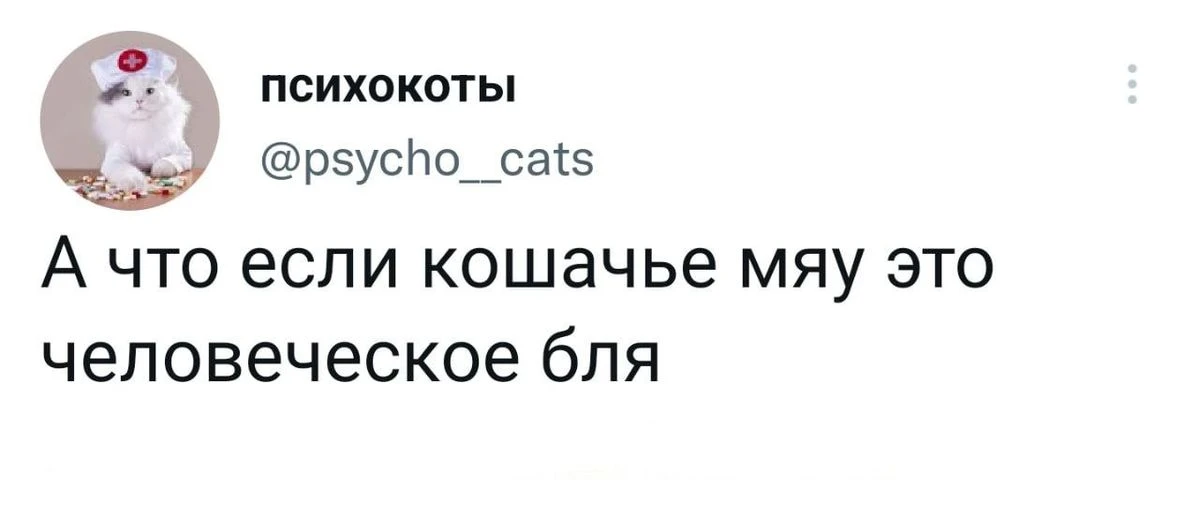 Тогда я тоже своего рода котик 🤣