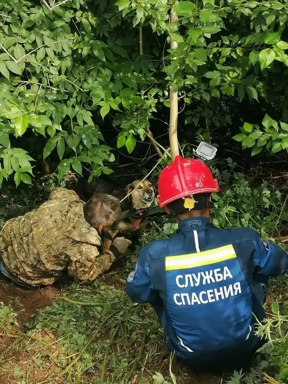 В Воткинске мужчина с собакой упал в глубокий овраг