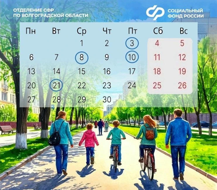 График выплат детских пособий 🐣 и пенсий 👛 Отделением СФР по Волгоградской области в апреле  3 апрел