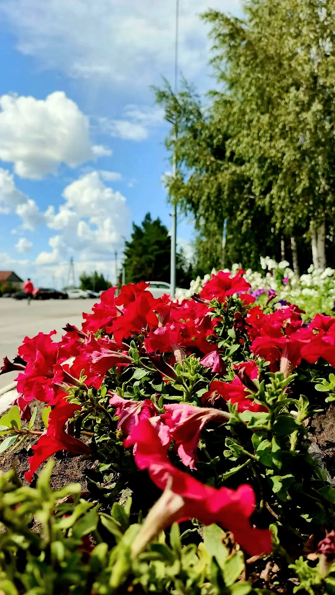 Добрый день, Купинский район! 🌾