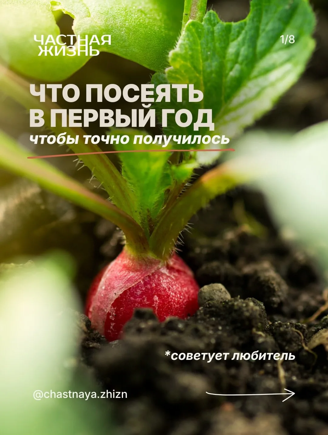 В первый год садоводства особенно хочется увидеть результат🌱   Я абсолютный любитель, но даже у меня
