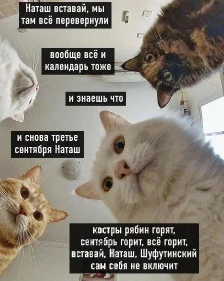 Фото