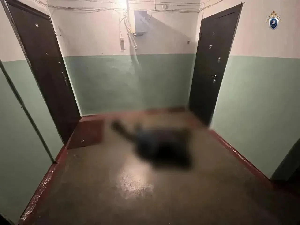 ❗️Получил 17 лет за убийство жены и соседа