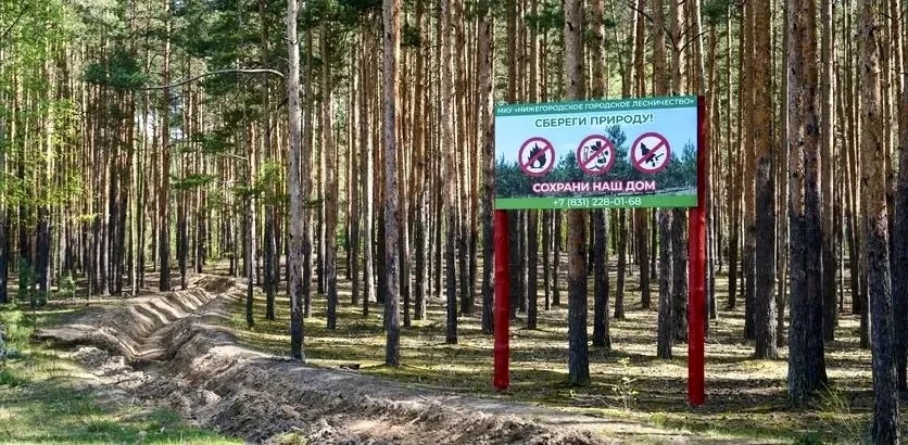 ❗️ Четвертый класс пожароопасности лесов и торфяников ожидается на территории Нижегород...