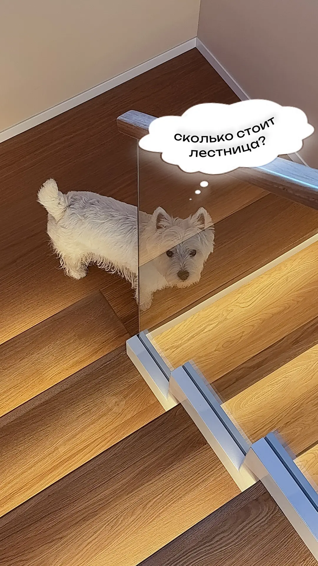 «Сколько у вас стоит лестница?» 📐