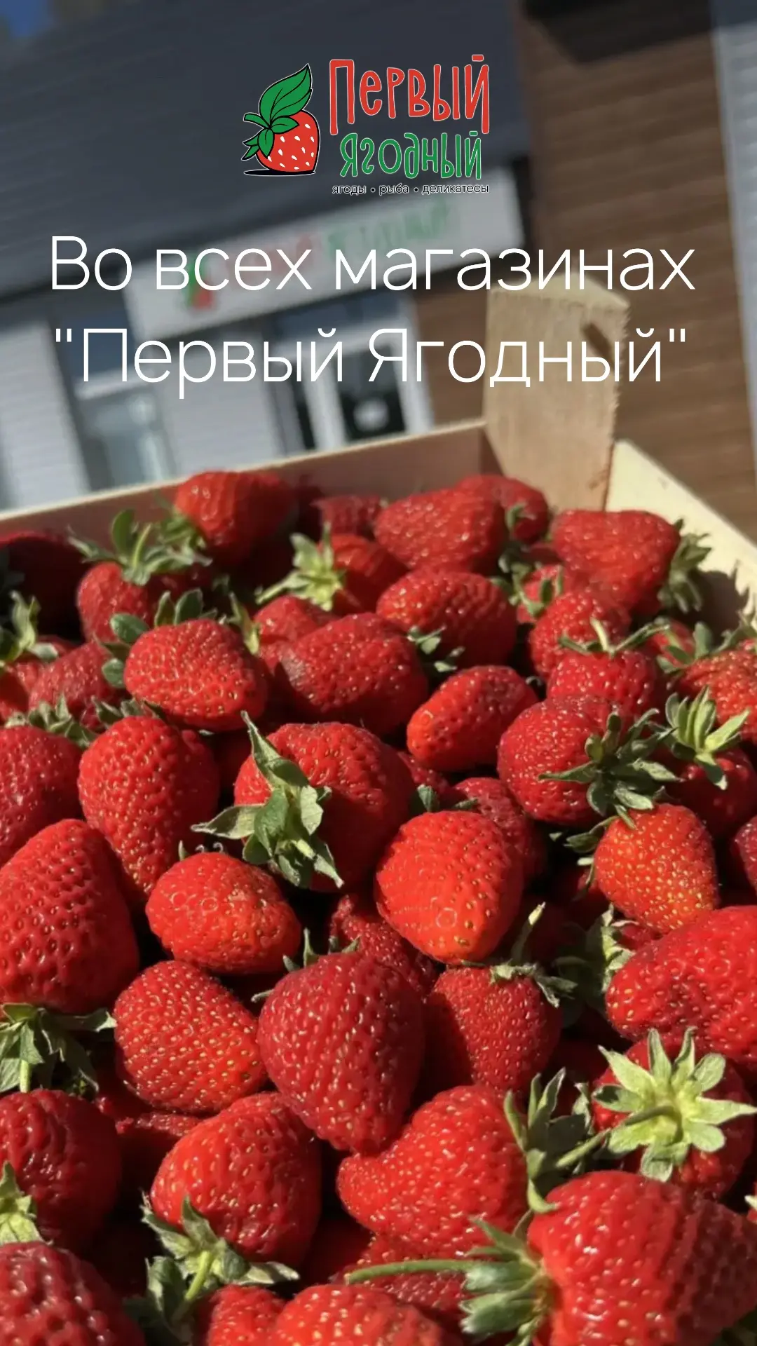 🍓 Свежее поступление во все магазины «Первый Ягодный»! 🍓

Привезли свежие, ароматные и сочные ягод