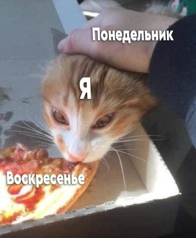 Доброе утро😁