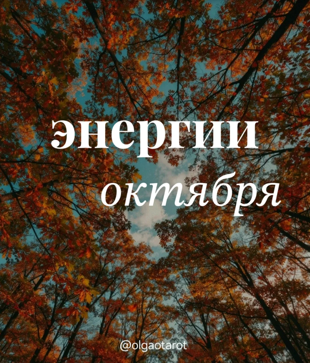 Октябрь проходит под 10-й энергией (Колесо Фортуны), это значит, что месяц насыщен пере...