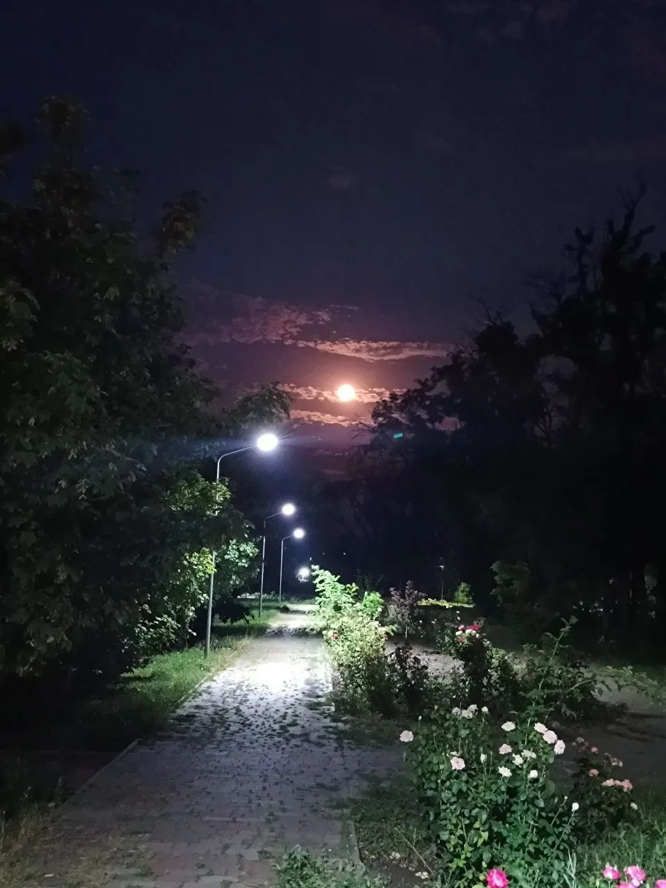Полнолуние... Завораживающая красота...
