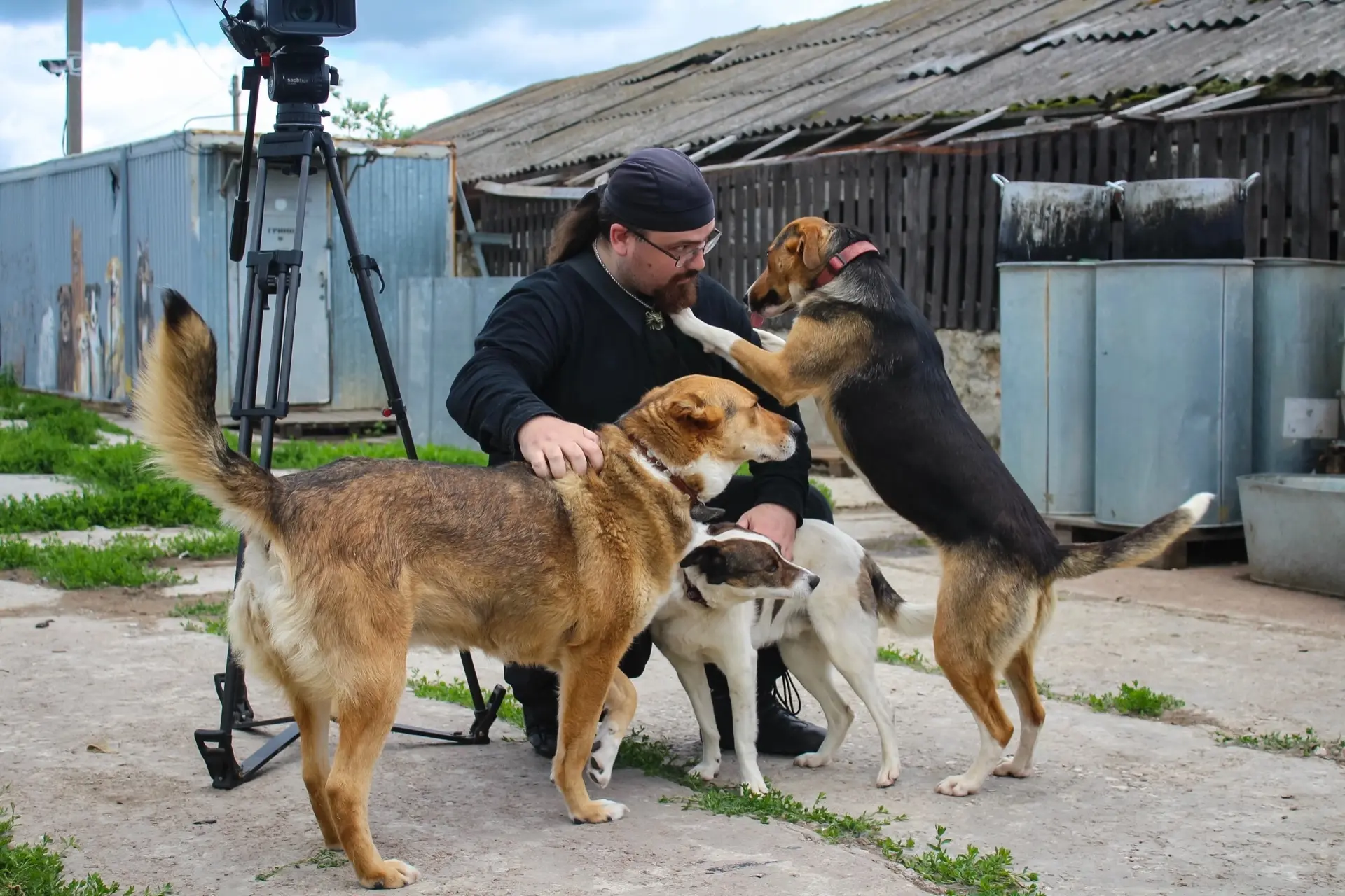 🐾 Сторонники ЕР Орловской области помогают приюту «Альфа»

Помощь животным, оставшимся без дома, ну