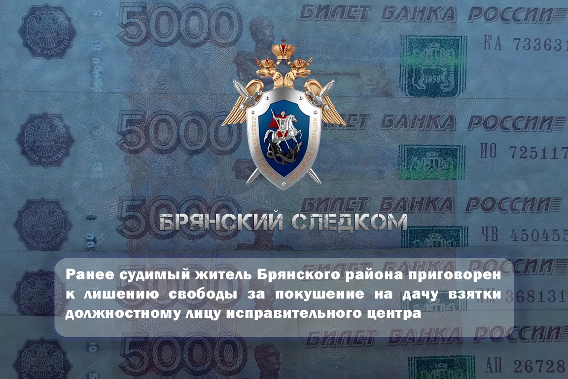 ⚖️ Ранее судимый житель Брянского района приговорен к лишению свободы за покушение на дачу взятки до