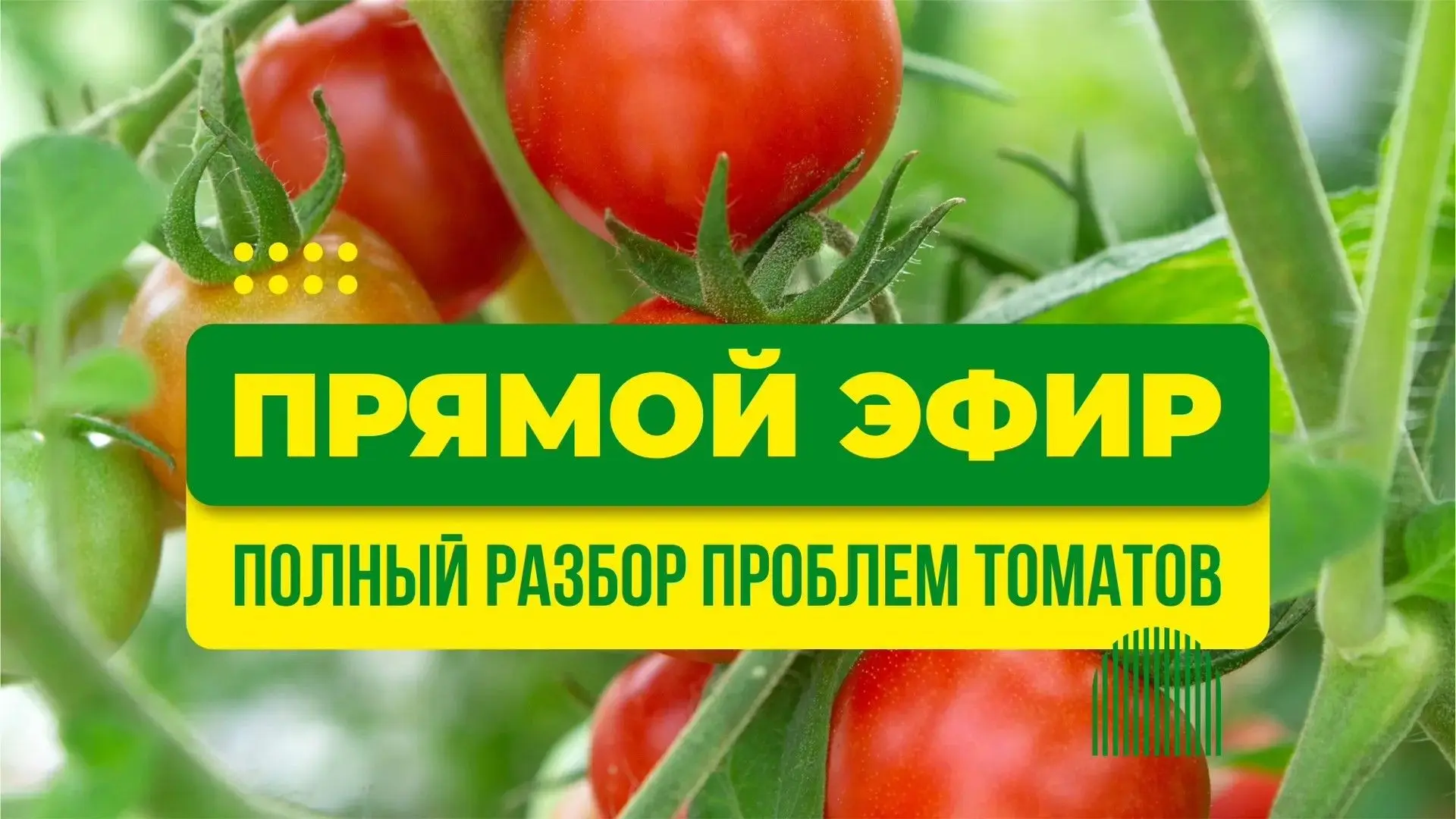 https://vkvideo.ru/video-125512651_456241394