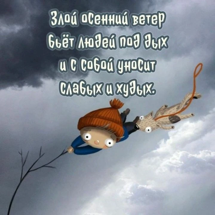 Открытки с юмором @otkritkipozdrav