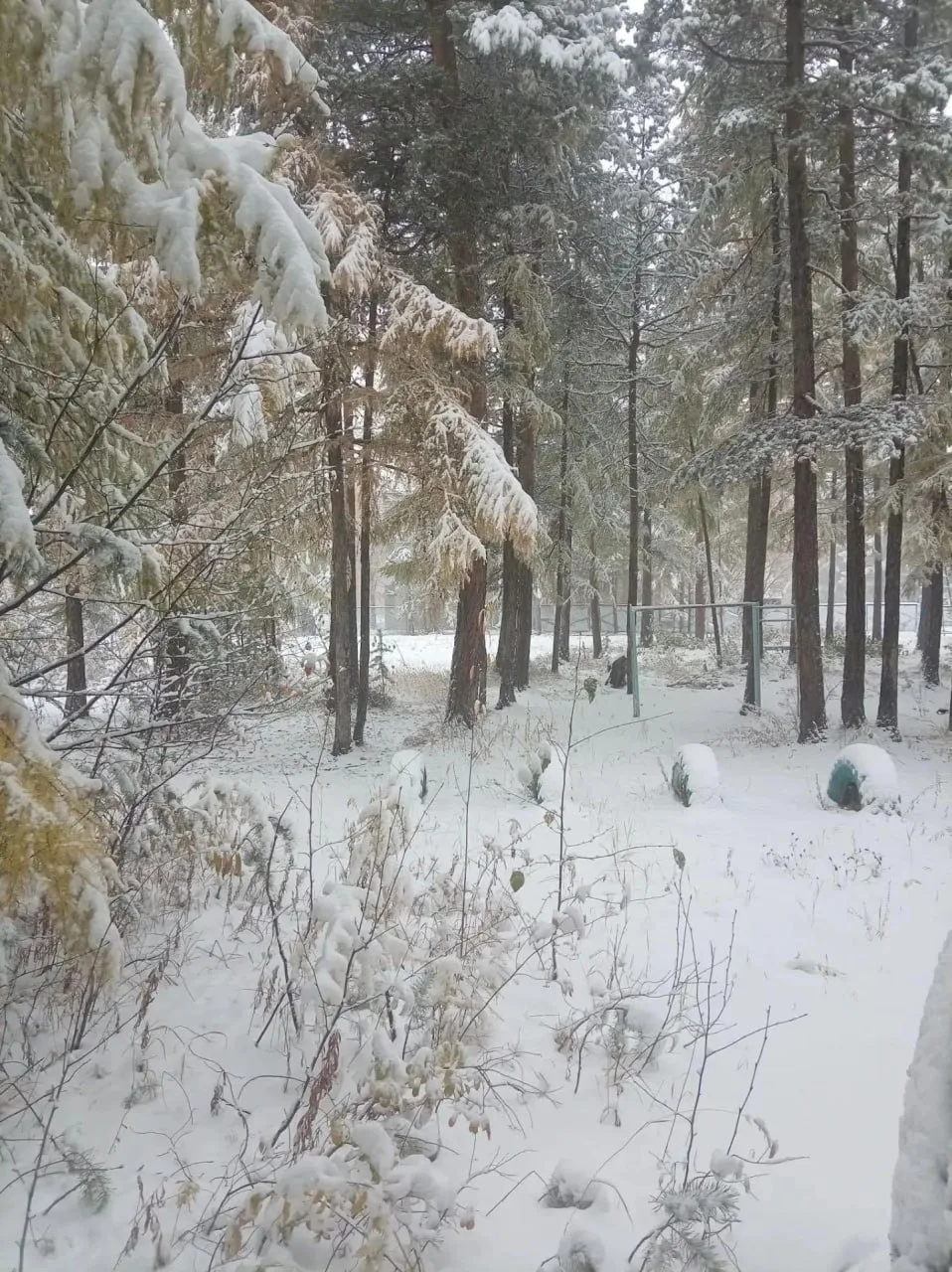 ❄️На севере Забайкалья в Каларском районе уже вовсю хозяйничает зима.