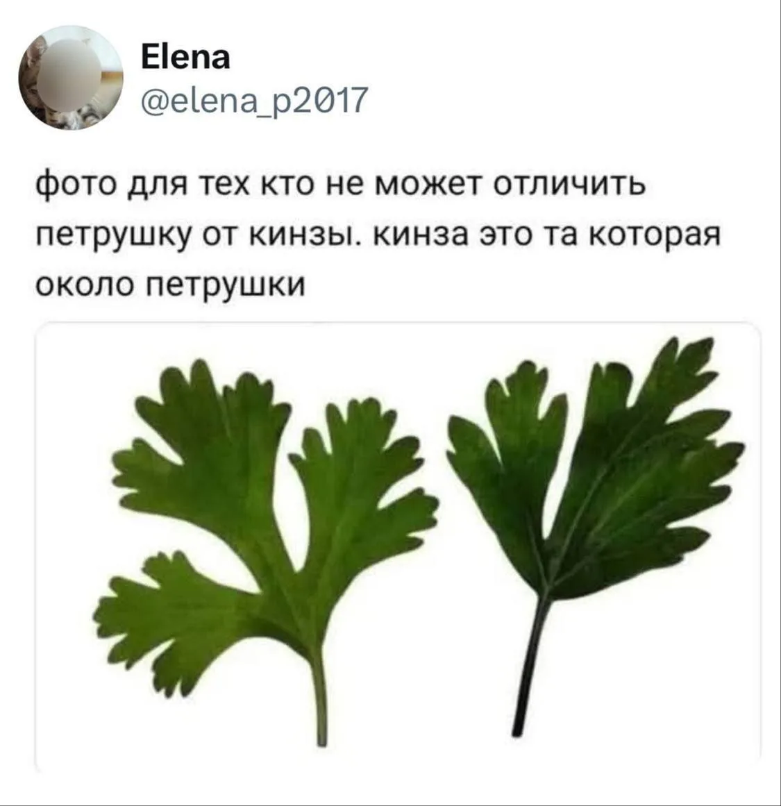 Юмор 24/7 | Подпишись!