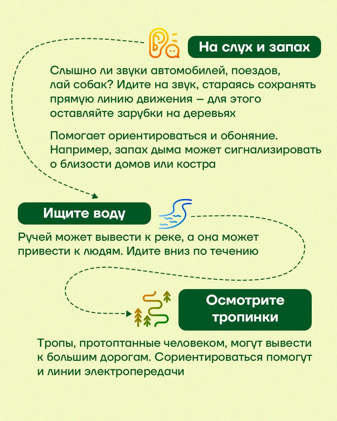 В лесу можно ориентироваться по мху на деревьях — правда или миф?