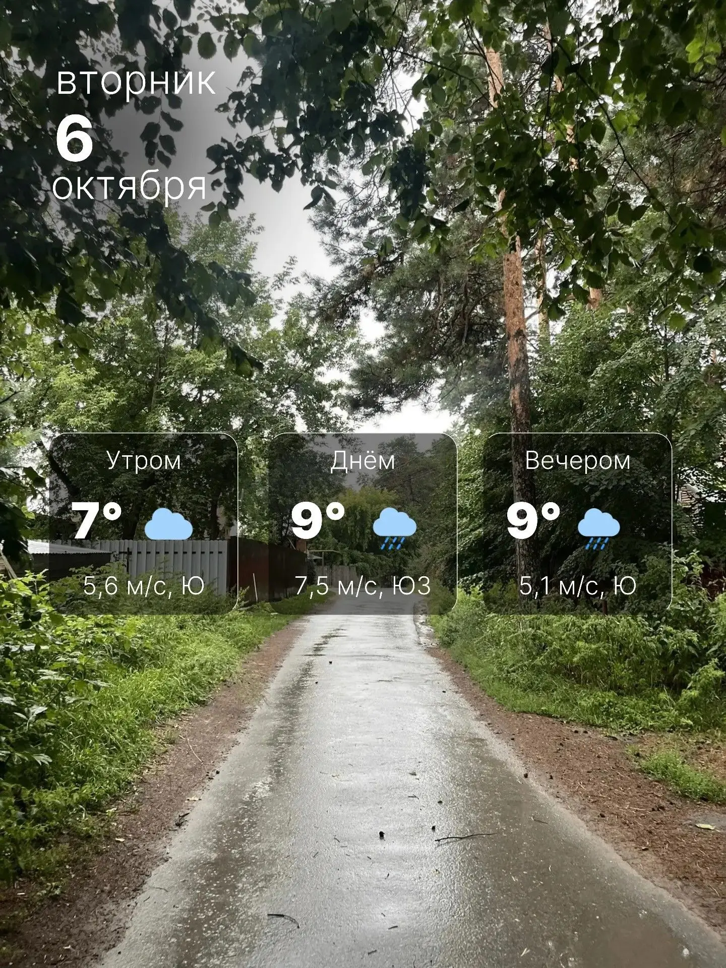 🌧️ Ветер, дождь и первые заморозки