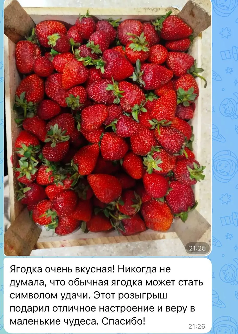 Регулярные свежие  поставки клубники, малины, фруктов в Горно-Алтайск