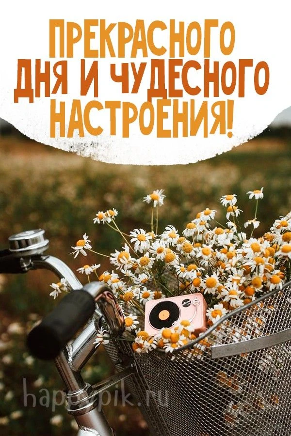 🥰Открытки и поздравления!
👉Подписаться