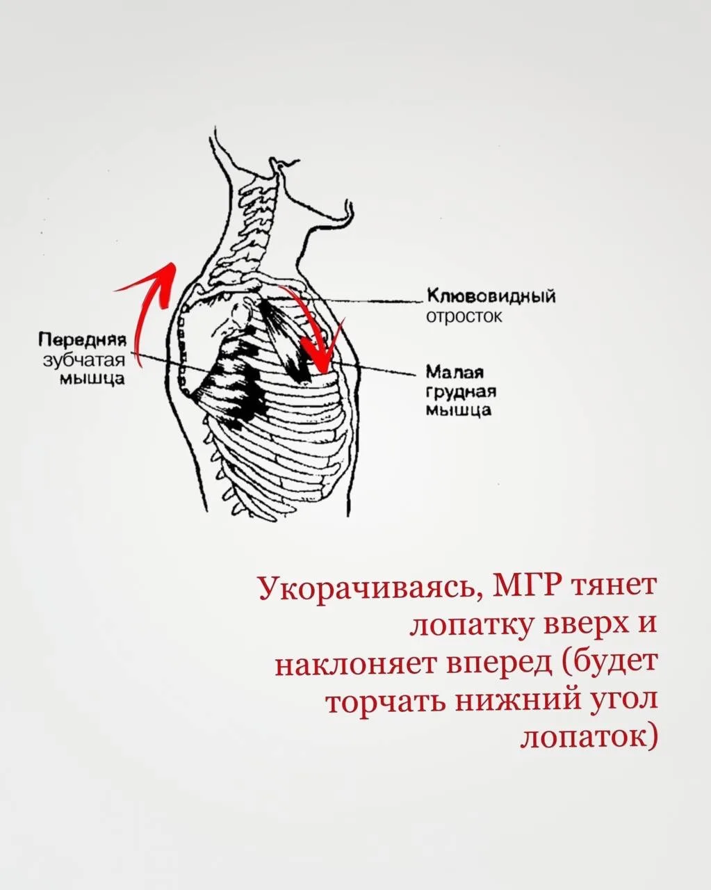 Претензий к внешнему виду рук у женщин едва ли не столько же, сколько к лицу.