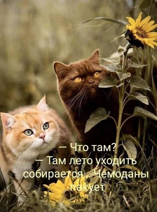 💛💛💛