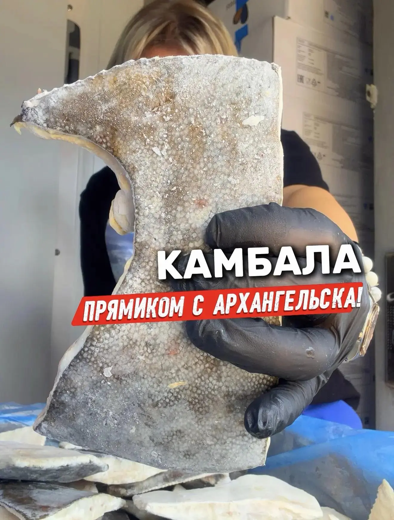 🐟🔥 НОВИНКА ИЗ АРХАНГЕЛЬСКА!