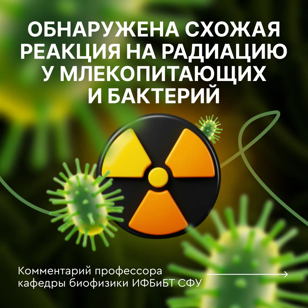 Что общего у бактерий, кроликов и радиации? Ответ вас точно удивит 🧬

Исследователи Сибирского феде