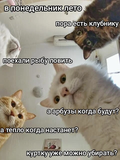 🥳 С пятницей, дорогие подписчики!

В следующий понедельник уже лето ☀️

Команда Портала поставщиков
