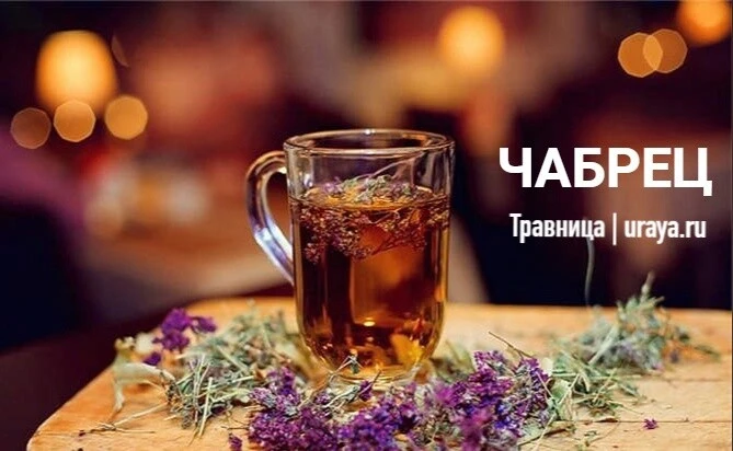 Эффективные целебные рецепты на основе чабреца 🍃

1. При заболеваниях верхних дыхательных путей:

Д