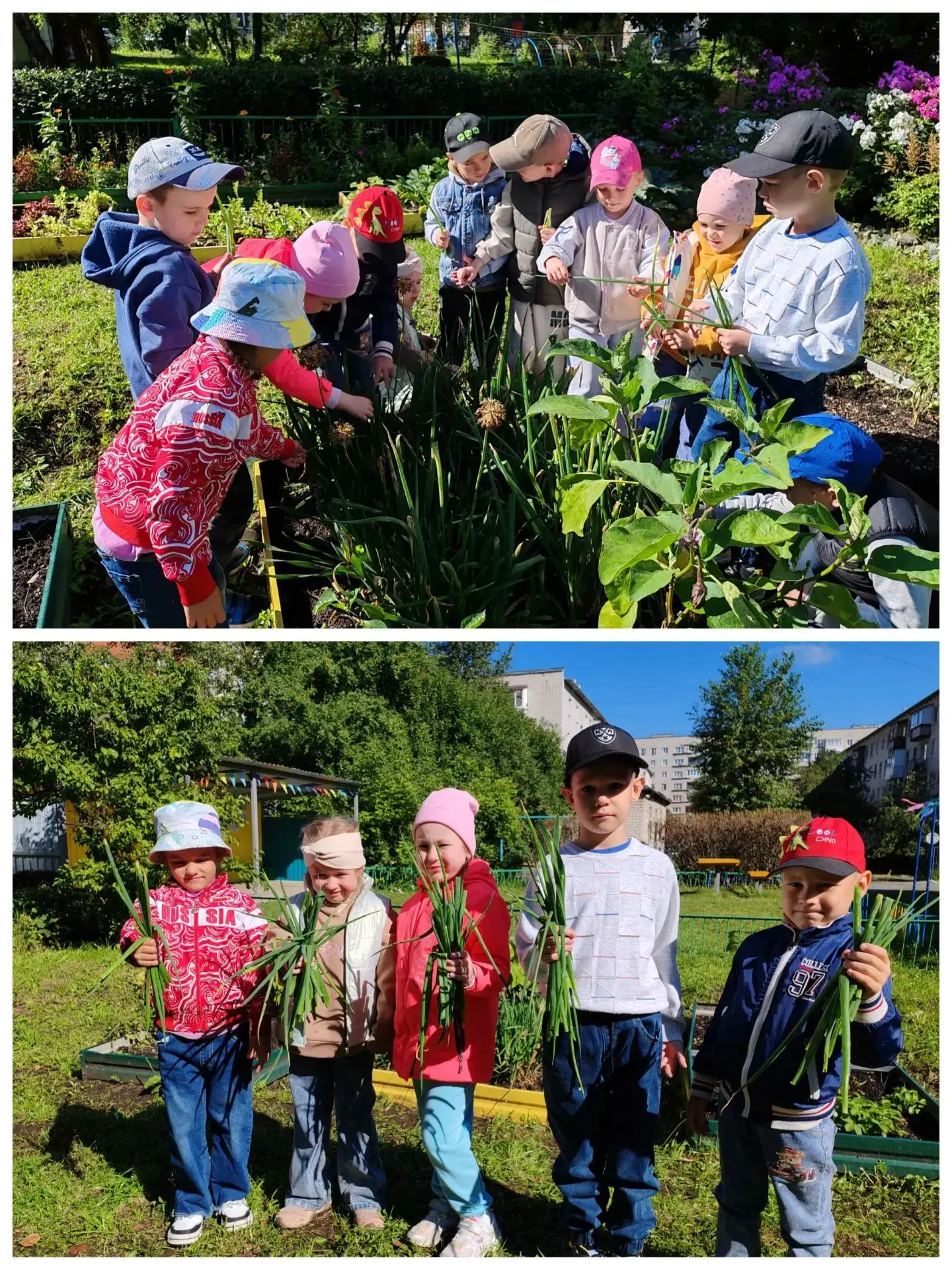 Экологическое воспитание на практике 🌍🌱