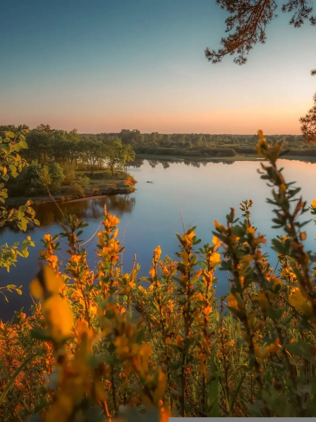 ☀️🍃🕊 С добрым утром, дорогие!

     Пусть Господь благословит вас в наступающем дне! 

     Пусть 