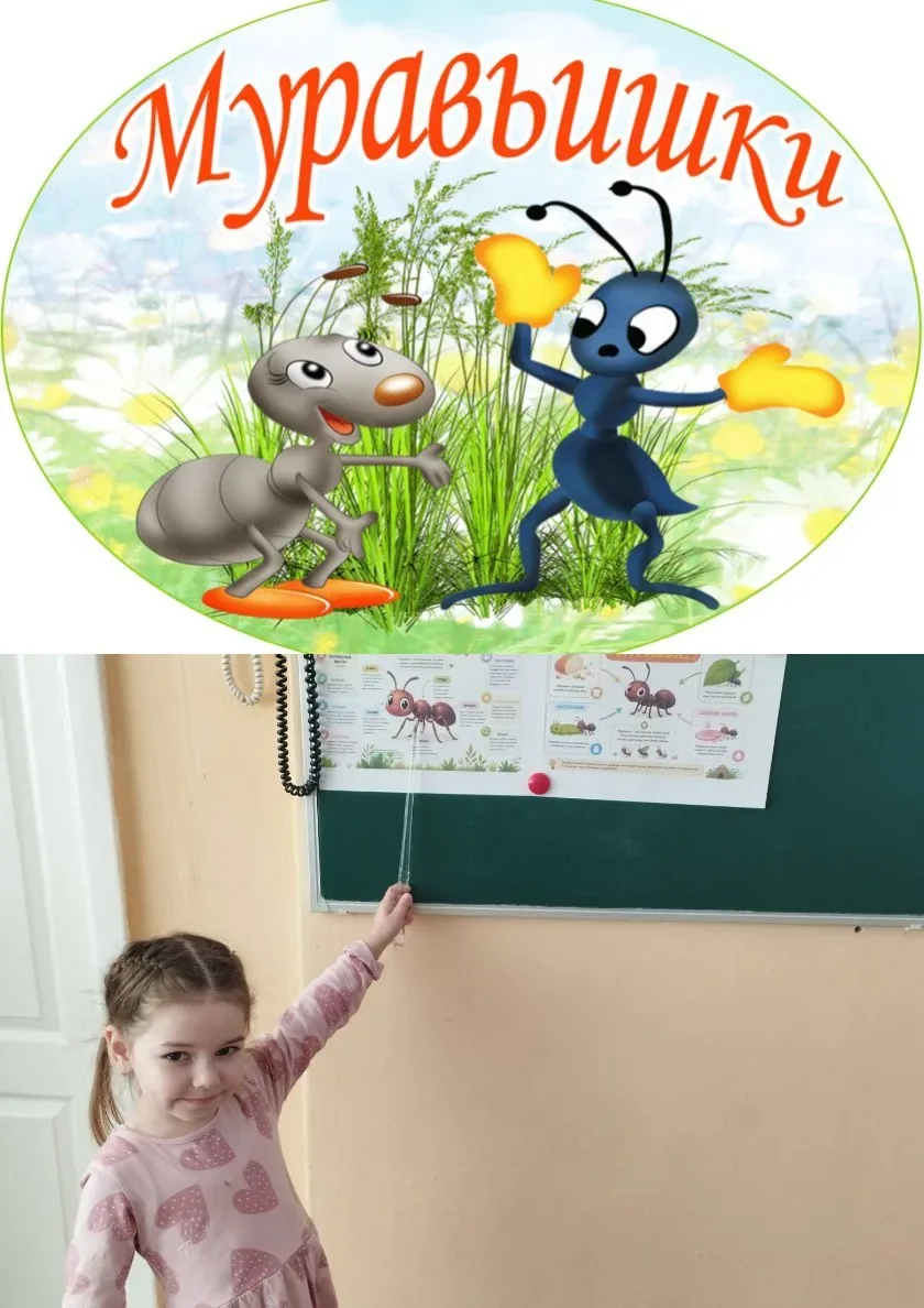 🐜 «Работяги-муравьи»: увлекательное путешествие в микромир 🌿🔍

Сегодня ребята из группы «Добрые с