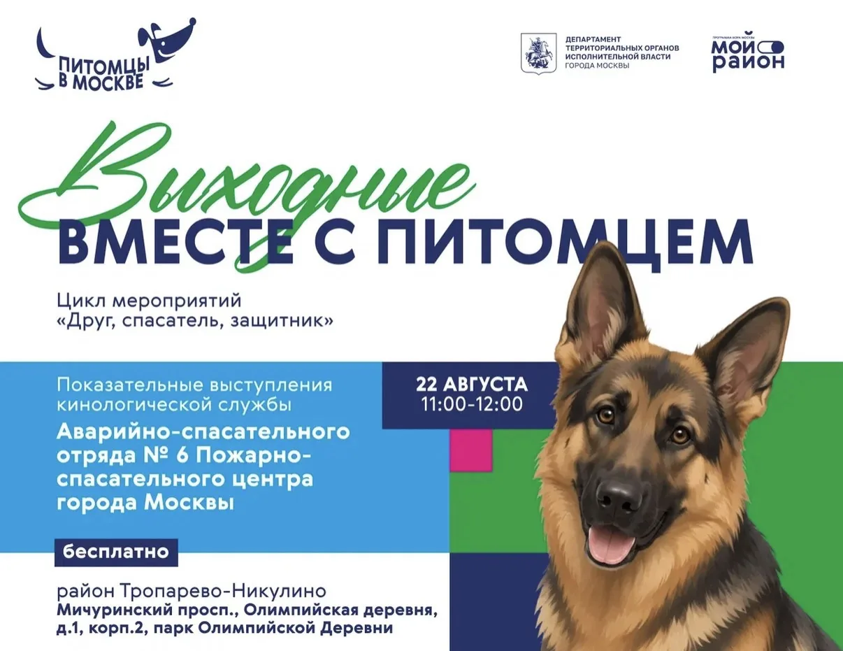 22 августа 2026 г. в районе Тропарево-Никулино на площадке по адресу Мичуринский просп....