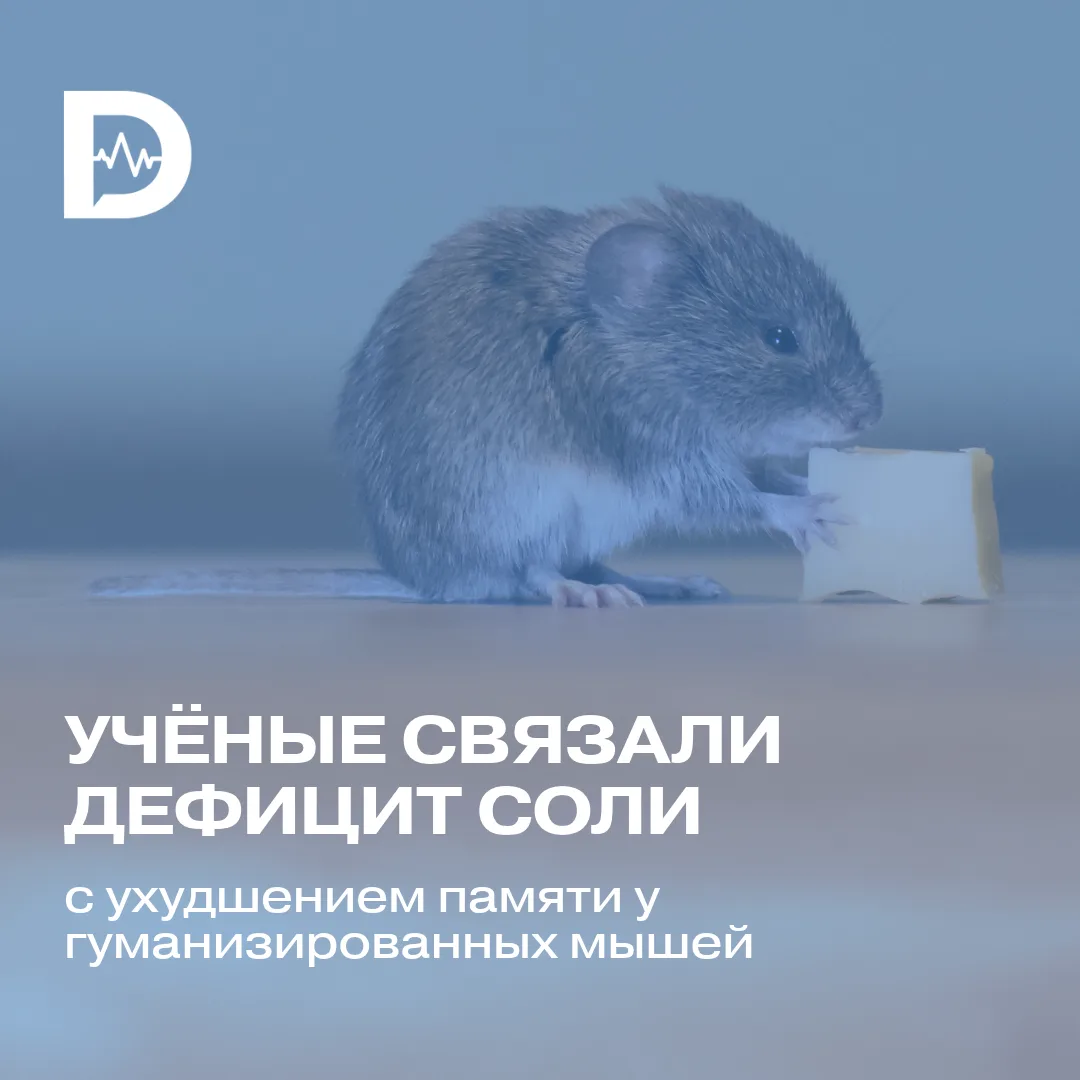 Соль принято ограничивать из-за риска гипертонии и сердечно-сосудистых заболеваний. Но ...