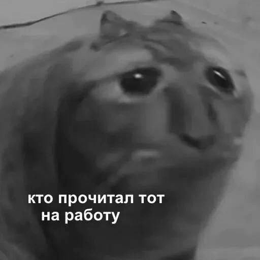Доброе утро!  По данным Бурятского гидрометцентра, 26 мая в республике обещают небольшие, на юге – у